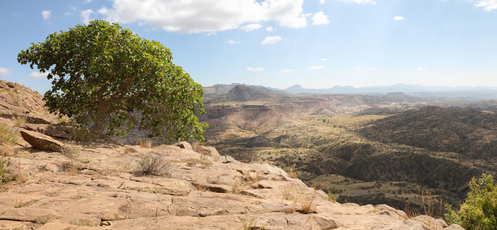 Himberti - Eritrea