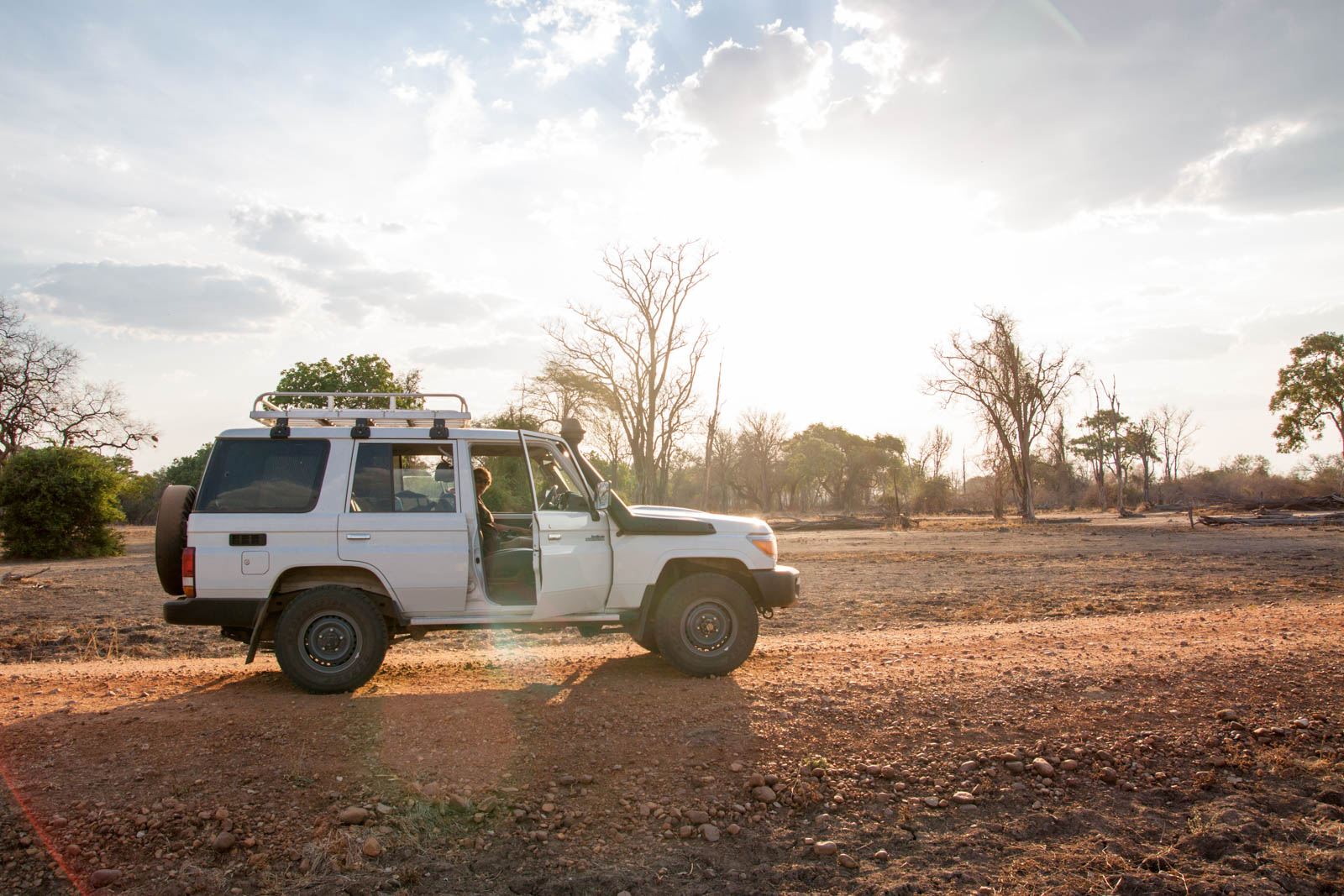 South Luangwa - Dry Season